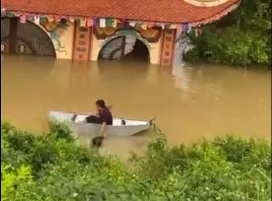 Phú Thọ: Một thanh niên ra đi mãi mãi trước cổng chùa vì cứu một chú cún bị nước lũ cuốn trôi